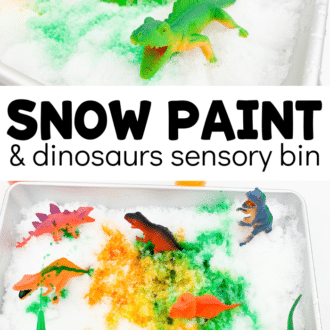 Collage of dinosaur snow tray with text that reads snow paint & dinosaurs sensory bin.