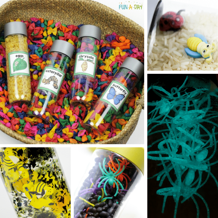 Collage of five bug sensory bottle ideas.