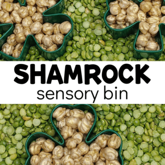 Split peas and gold chickpeas with text that reads shamrock sensory bin