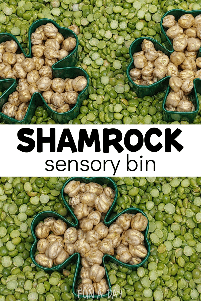 Split peas and gold chickpeas with text that reads shamrock sensory bin