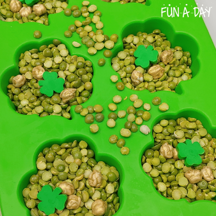 split peas, gold chickpeas, and mini erasers in shamrock mold