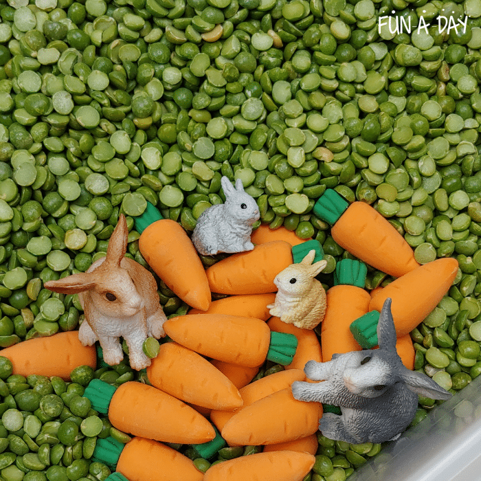 Toy bunnies resting on small toy carrots in bed of green.