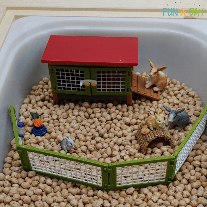 Rabbit and hutch play set toys sitting in a bin of dried chickpeas.