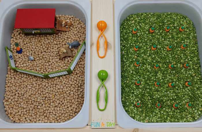 Rabbit habitat sensory bin and carrot patch sensory bin with tongs on a sensory table.