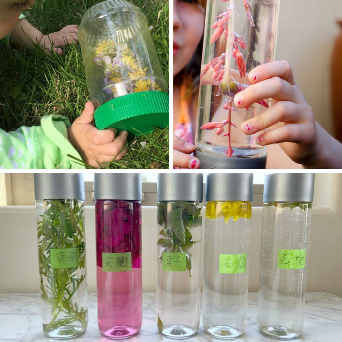 Three ideas from flower sensory bottle collection
