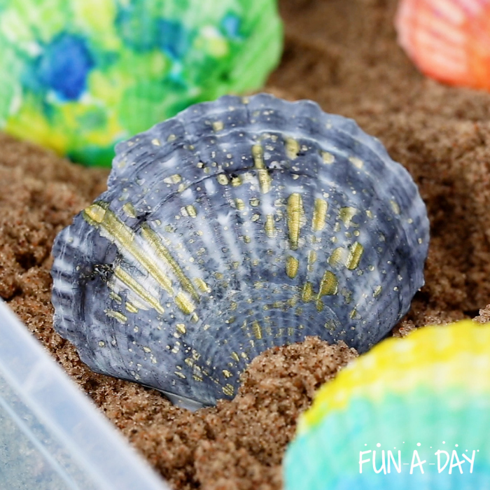 Close up of a black and gold painted shell in a preschool sensory bin