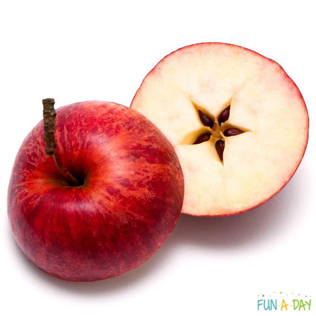 red apple cut in half