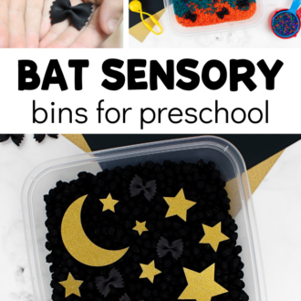 bat sensory activities with text that reads bat sensory bins for preschool