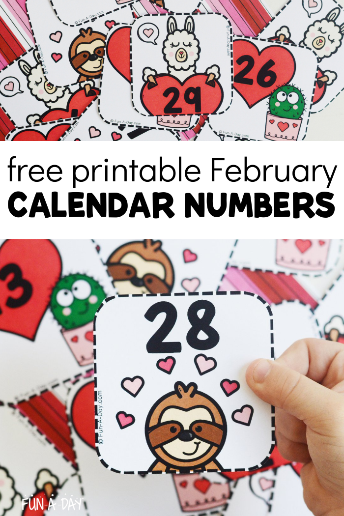 child's hand holding a number card with the number 28, over a pile of cards. Words say free printable February calendar numbers
