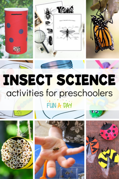 collage of bug ideas with text that reads insect science activities for preschoolers