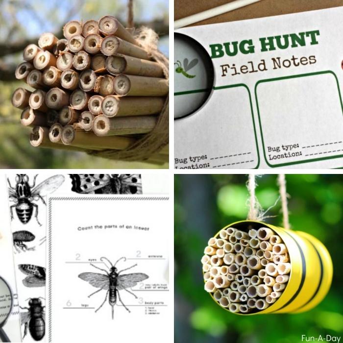 4 images of insect science activities for preschoolers - including making bee houses and printables