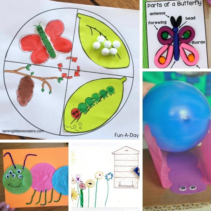 5 preschool insect science activities: parts of an insect, insect life cycles, static electricity with butterfly balloon craft