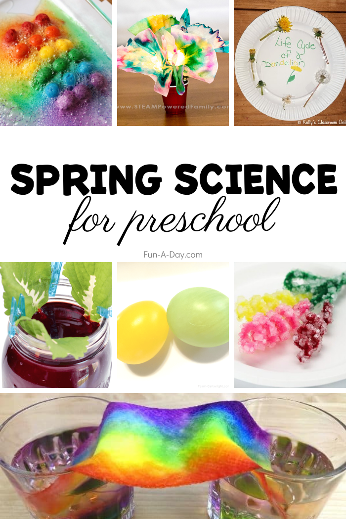 collage of children's science experiments with copy that reads: spring science for preschoolers