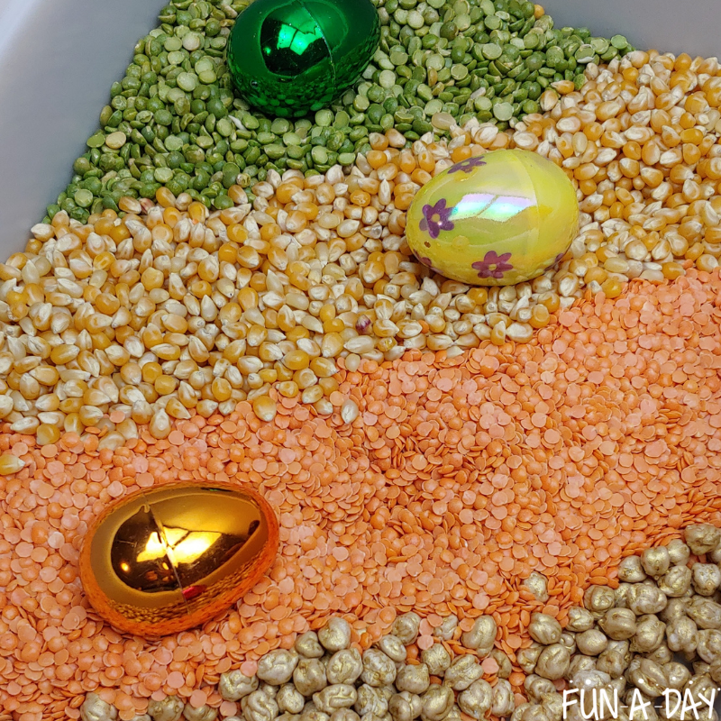 Split peas, corn, red lentils, gold chickpeas in sensory bin with plastic Easter eggs