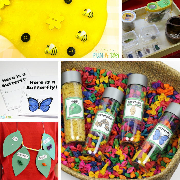 5 insect science activities for preschool