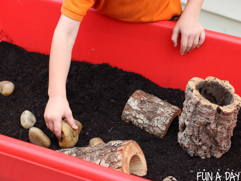Preschooler placing rocks in a bin of dirt.