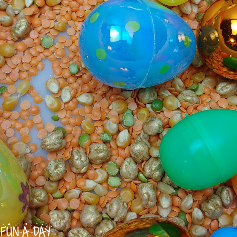 Close up of messy Easter sensory bin with red lentils, corn, split peas, chickpeas, and plastic eggs