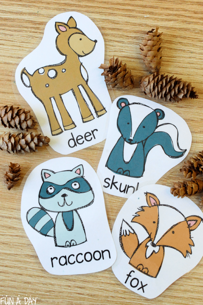 forest animal word cards on a table with small pinecones