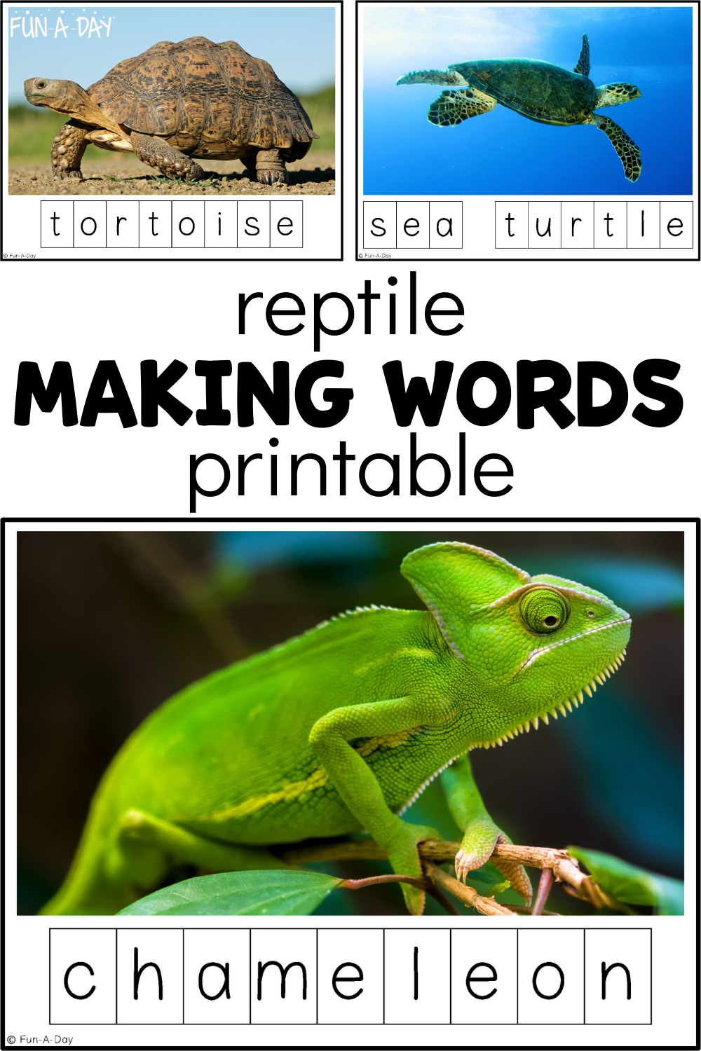 Tortoise, sea turtle, and chameleon word cards with text that reads reptile making words printable