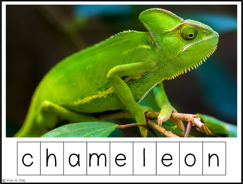 reptile making words printable with chameleon on it