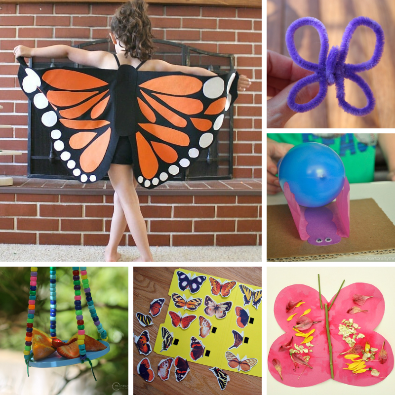 6 butterfly activities