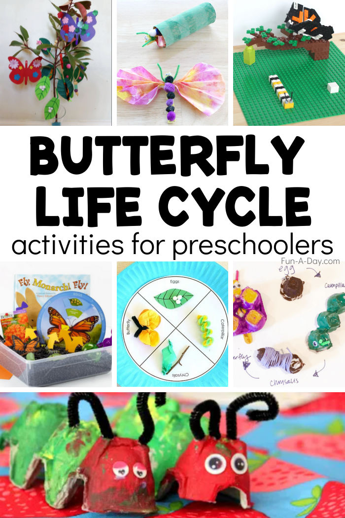 activities to teach the life cycle of butterfly to kids. Text reads: butterfly life cycle activities for preschoolers