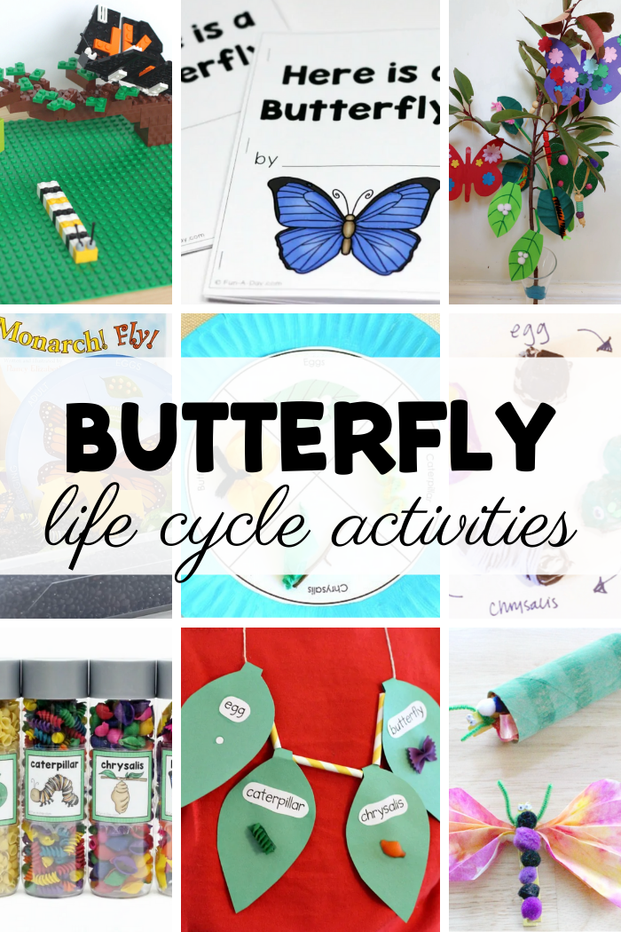 lots of activities for young kids to teach butterfly metamorphosis. Text reads: Butterfly life cycle activities