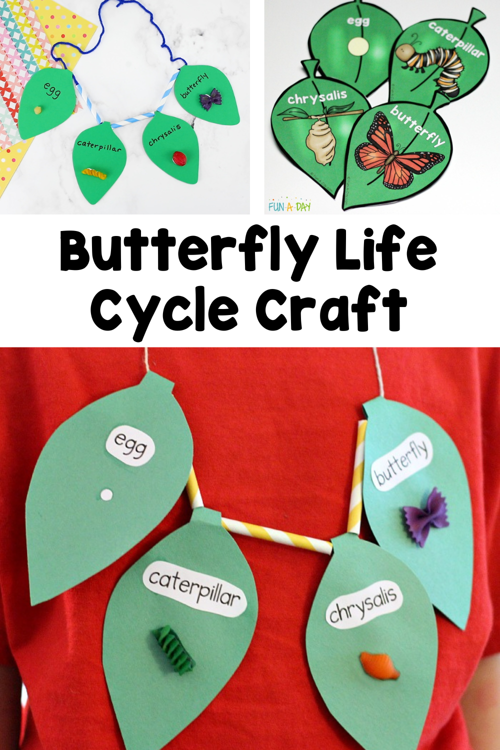 Collage of butterfly life cycle necklace with text that reads butterfly life cycle craft