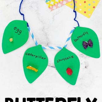 handmade life cycle of a butterfly craft with text that reads butterfly life cycle necklace