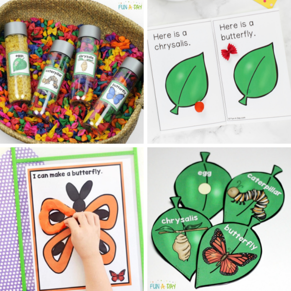 15 Free Life Cycle of a Butterfly Printables - Fun-A-Day!