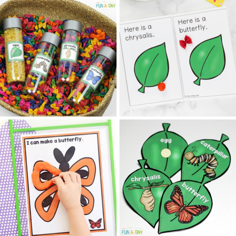 15 Free Life Cycle of a Butterfly Printables - Fun-A-Day!