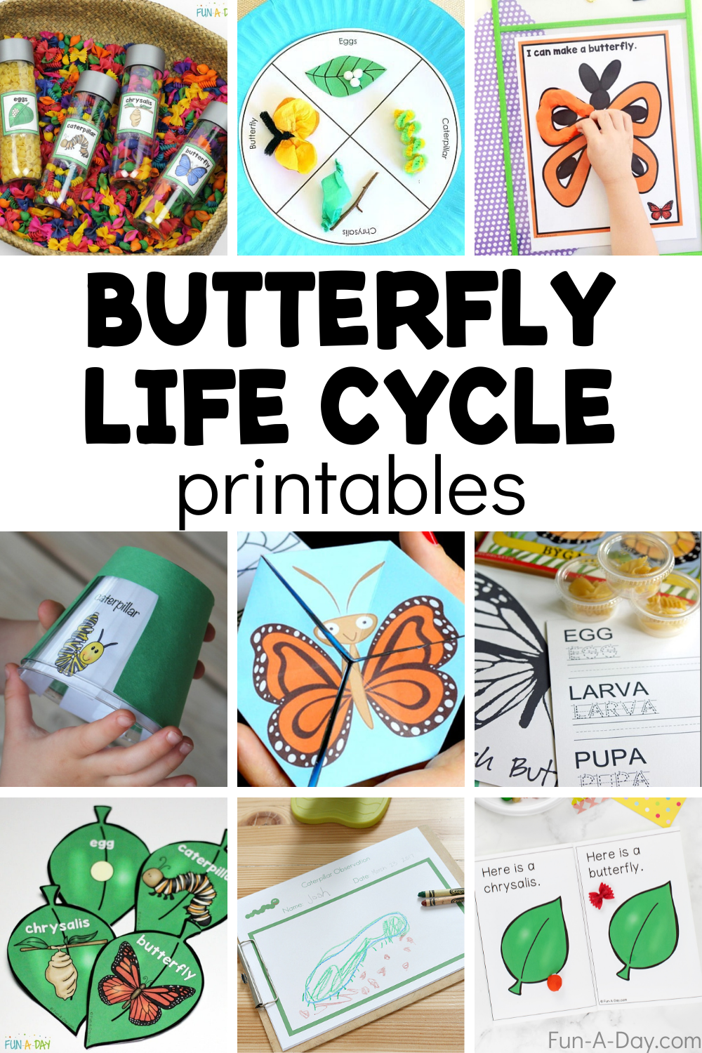 Collage of life cycle of a butterfly worksheets with text that reads butterfly life cycle printables