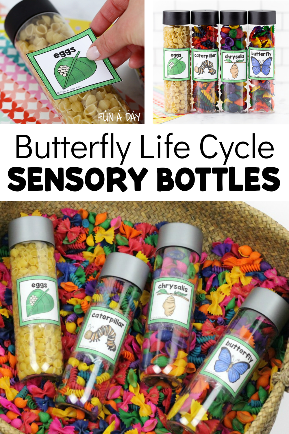 Collage of butterfly discovery bottles with text that reads butterfly life cycle sensory bottles