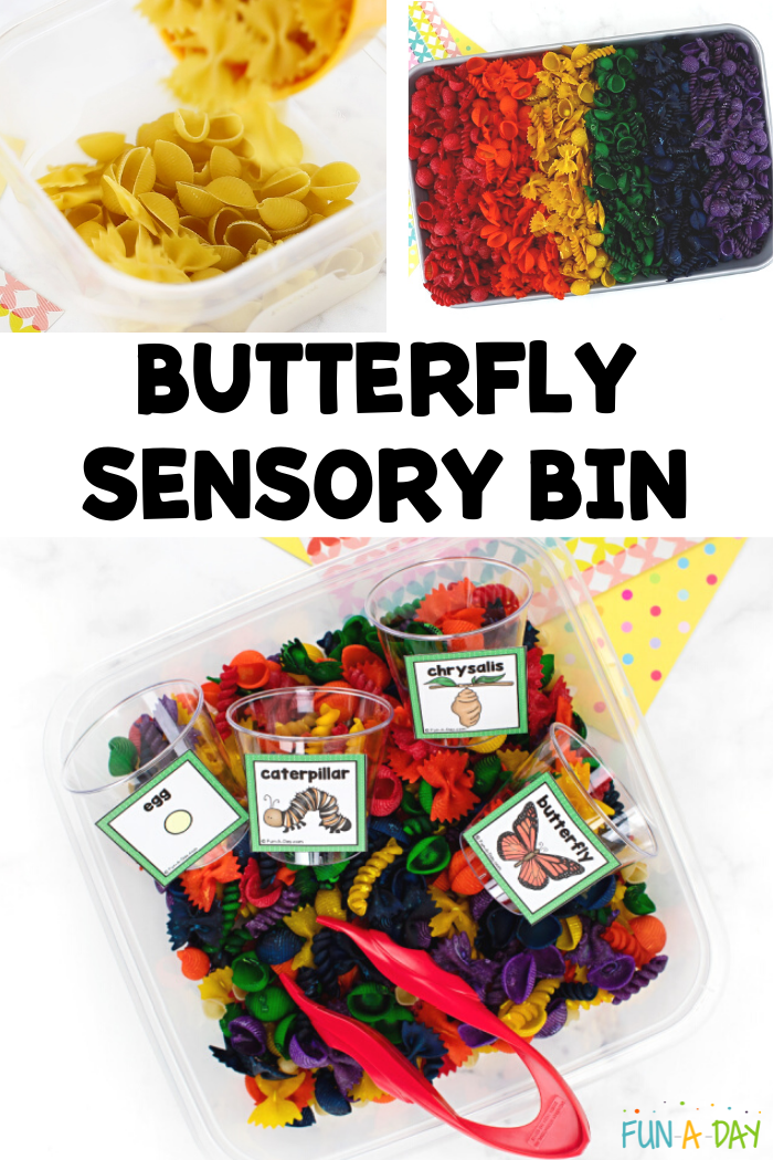 three views of materials used ini butterfly sensory bin for preschoolers