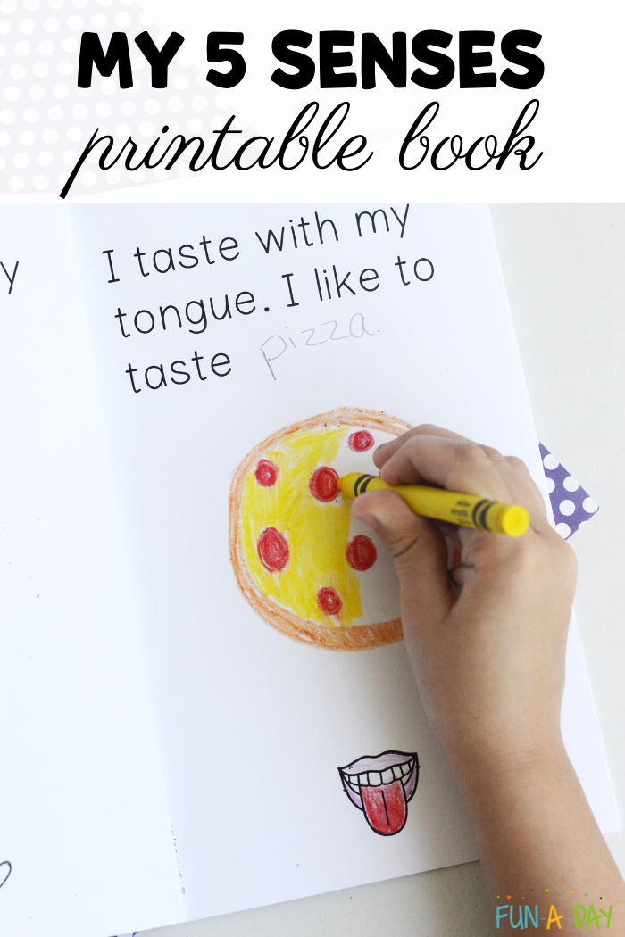 child's hand drawing a pizza in senses reader, with text that reads My 5 Senses Printable Book