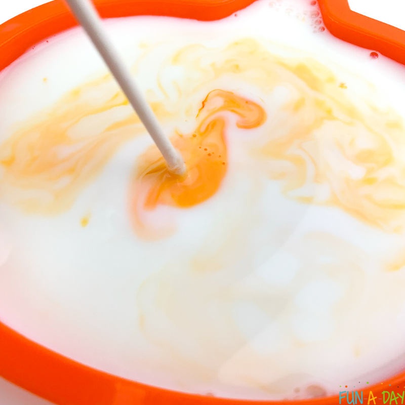 cotton swab in milk with food coloring for pumpkin magic milk science
