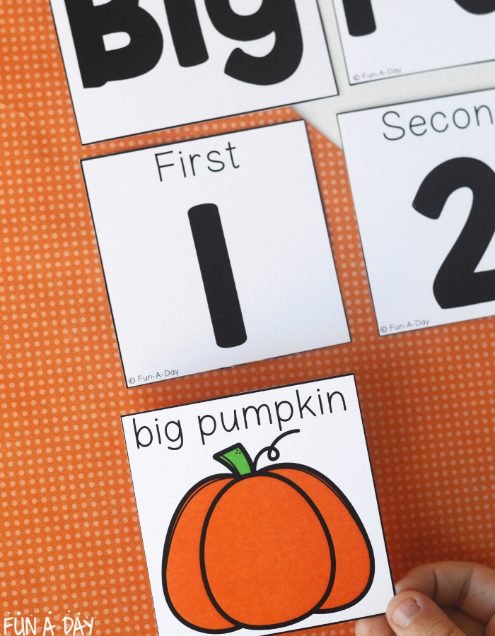 preschooler placing big pumpkin sequencing pictures by numbers