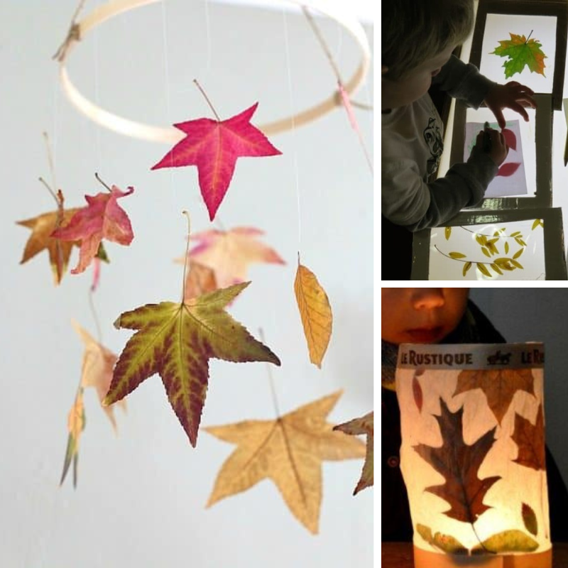 3 leaf crafts for kids to make