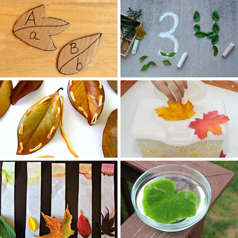 6 leaf activities for preschoolers that focus on learning