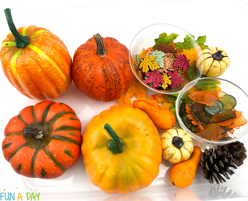 materials to make an easy pumpkin sensory bin for kids