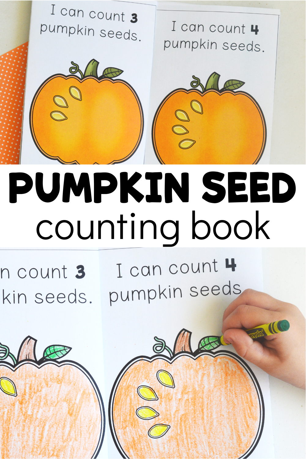 Multiple versions of pumpkin seed emergent reader with text that reads pumpkin seed counting book