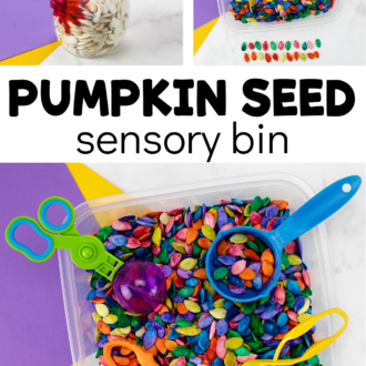 Colored pumpkin seeds with text that reads pumpkin seed sensory bin