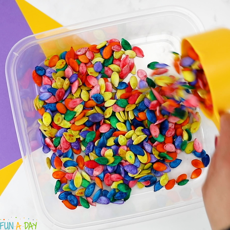 pouring colorful pumpkin seeds into a sensory bin