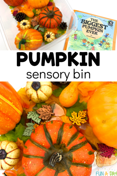 fake pumpkins, fake leaves, acrylic fall table scatter in a bin with text that reads pumpkin sensory bin