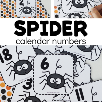 multiple views of spider number cards with text that reads spider calendar numbers