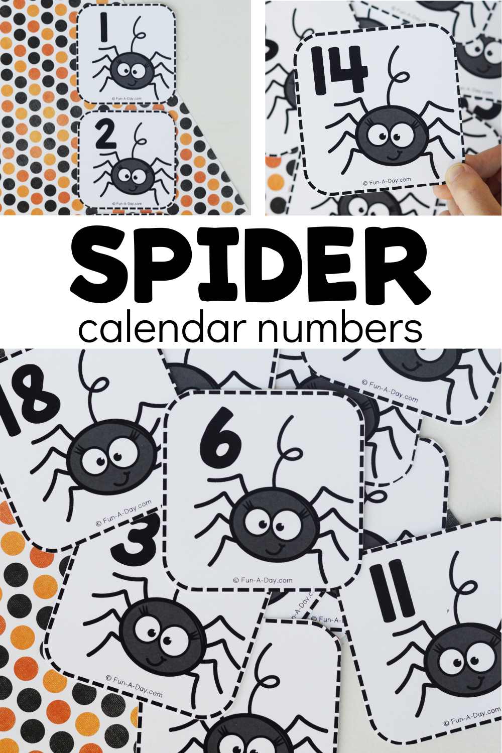 multiple views of spider number cards with text that reads spider calendar numbers