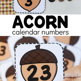 Multiple views of number cards with text that reads acorn calendar numbers
