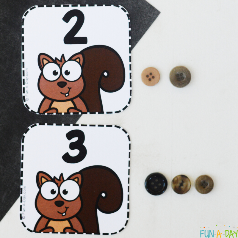 squirrel number cards 2 and 3