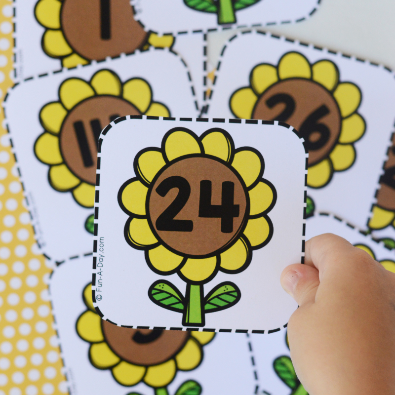 child holding sunflower number card 24
