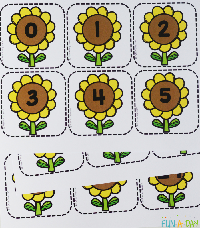 free printable sunflower calendar numbers before being cut